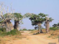 fond d ecran de Afrique Angola - Brigitte Andre