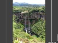 fond cran de Jean-Pierre Marro - Afrique Ile Maurice Vgtation