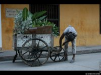 fond d ecran de Amerique du sud Colombie - Bndicte Gomez