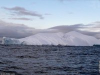 fonds cran de Jean-Pierre Marro - Antarctique Pole Sud Iceberg Banquise