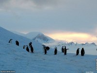 fond d ecran original de Jean-Pierre Marro - Antarctique Pole Sud Iceberg Banquise