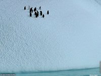 fonds d'ecran de Jean-Pierre Marro - Antarctique Pole Sud Iceberg Banquise