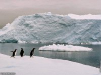 fond cran de Jean-Pierre Marro - Antarctique Pole Sud Iceberg Banquise