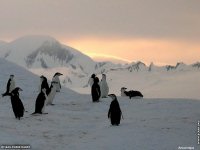 fond d ecran de Antarctique Pole Sud Iceberg Banquise - Jean-Pierre Marro