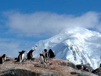 fond d'cran de Jean-Pierre Marro - Antarctique Pole Sud Iceberg Banquise