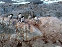 fonds d ecran de Jean-Pierre Marro - Antarctique Pole Sud Iceberg Banquise