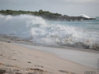 fonds cran de michel Zajk - Petites Antilles Caraibes Saint-Martin