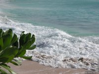 fond d ecran de Petites Antilles Caraibes Saint-Martin - michel Zajk