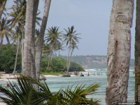 fond cran de Ariane Vollery - Antilles Guadeloupe