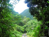 fond d ecran de Antilles Guadeloupe - Guilne Amiens