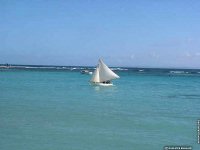 fond d ecran de Guadeloupe Antilles - Philippe Renaud