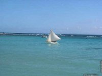fond d ecran de Guadeloupe Antilles - Philippe Renaud