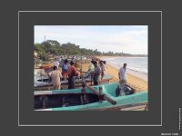 fond cran de Dany Carn - Asie du Nord  - Sri Lanka