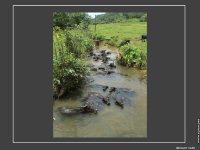 fond d ecran de Dany Carn - Asie du Nord  - Sri Lanka