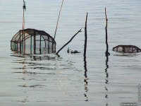 fond cran de Didier Guyot - Asie du Sud-Est  - Thailande Phuket