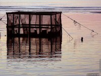 fond d ecran de Asie du Sud-Est  - Thailande Phuket - Didier Guyot