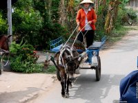 fond d ecran de Vietnam - Alain Noel