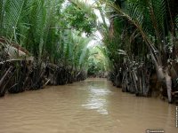 fond cran de Alain Noel - Vietnam