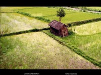 fond d ecran de Bali vue par Laurence Krattinger - Fonds d'cran de Bali - Laurence Krattinger