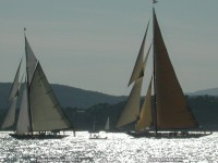 fond d ecran de Rgates de St Tropez & Cannes - Claude Jambeau