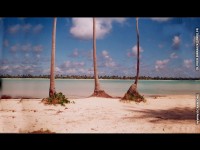 fond d ecran de des fonds d'ecran de Bora-Bora bora par Olivier Birraux , habitant  ... Bora bora. Nana et  faaitoito ! - Olivier Birraux