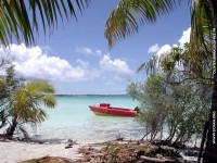 fond d ecran de des fonds d'ecran de Bora-Bora bora par Olivier Birraux , habitant  ... Bora bora. Nana et  faaitoito ! - Olivier Birraux