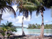 fond d ecran de des fonds d'ecran de Bora-Bora bora par Olivier Birraux , habitant  ... Bora bora. Nana et  faaitoito ! - Olivier Birraux