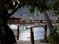 fond d ecran de des fonds d'ecran de Bora-Bora bora par Olivier Birraux , habitant  ... Bora bora. Nana et  faaitoito ! - Olivier Birraux