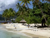 fond d ecran de des fonds d'ecran de Bora-Bora bora par Olivier Birraux , habitant  ... Bora bora. Nana et  faaitoito ! - Olivier Birraux