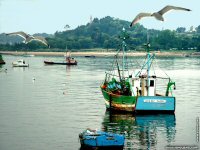 fond d ecran de Jacques-Yves Rossignol - Bretagne Cotes d'armor Tregor Goelo