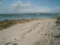 fond d ecran de Ile de Batz - Finistre - Bretagne - Danile Thierry