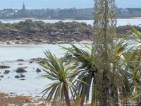 fond d ecran de Bretagne -Finistere - ile de Batz - Martynow