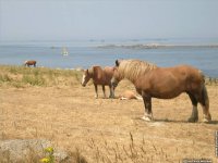 fond d ecran de Bretagne Finistere Portsall - patrick.meliani