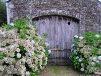 fond cran de Jean Francois Arnaudon - Chateau de Trohanet Langolen Finistre Bretagne