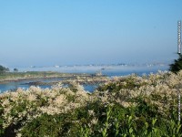 fond d ecran de ile-de-Batz Bretagne - L'Ile de Batz - Jean Cirard