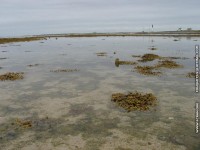 fonds d'cran de Jean-Luc Fouquet - bretagne-ile-de-Sein