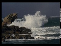 fond cran de Jean-Luc Fouquet - bretagne-ile-de-Sein