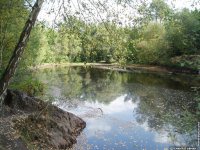 fond d ecran de Broceliande, chateau de Suscinio, mare aux fes de Broceliande, Huelgoat .. - Chantal Deman