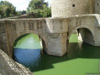 fond d ecran de Broceliande, chateau de Suscinio, mare aux fes de Broceliande, Huelgoat .. - Chantal Deman