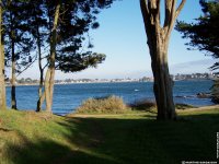 fond cran de Martine Gargasson - Bretagne Morbihan