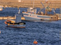 fonds cran de Patrice Dietsch - Bretagne - Quiberon & environs , Locmariaquer, la Trinit sur mer