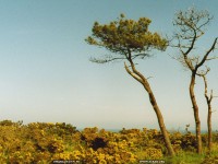 fond d'cran de Henri Manguy - Clichs bretons - Belle-le  - Ctes d'Armor - Plougrescant - Finistre - Pointe du Raz - par Henri Manguy