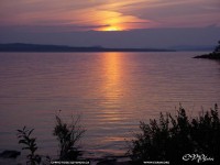 fonds d'cran de Claude Vincent - Canada - Quebec - Montreal