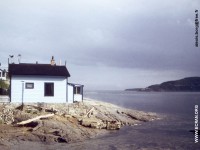 fonds cran de Alexis Borg - Canada - Quebec - Fleuve Saint-Laurent