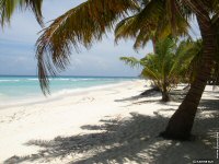 fond d ecran original de Karine Zuk - Caraibes Republique Dominicaine ile de Saona