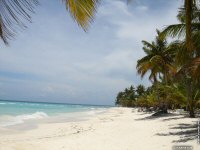 fonds cran de Karine Zuk - Caraibes Republique Dominicaine ile de Saona