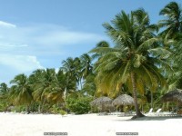 fond d ecran original de Sylvie Mornon - caraibes-republique-dominicaine-ile-de-saona