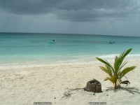 fond d ecran de caraibes-republique-dominicaine-ile-de-saona - Sylvie Mornon