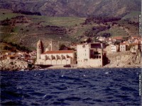 fond d ecran de Pyrnes Orientales - Collioure - Laurent