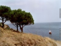 fonds ecran de Laurent - Pyrnes Orientales - Collioure